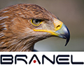 Logo Branel